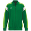 CELEBRATE 125 Trainingsjacke smaragdgreengecko
