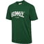 hmlLOOSE TEE S/S UNIVERSITY BEE darkgreen
