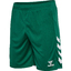 hmlCORE 2.0 SHORTS evergreenwhite