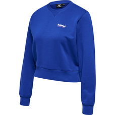 HMLLGC SHAI SHORT SWEATSHIRT-1991645