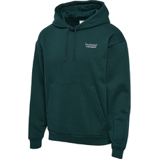 hmlLOOSE HOODIE SPORTSWEAR-2238045