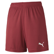 teamGOAL 23 knit Shorts jr-764143