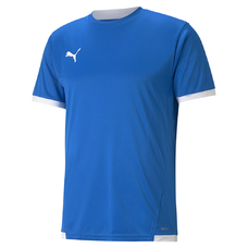 TEAMLIGA JERSEY-2244799