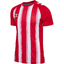 hmlMATCH STRIPED JERSEY S/S KIDS trueredwhite