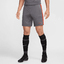 Academy 23 Short irongreydragonreddragonred