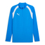 teamFINAL26 Training 1/4 Zip Top electroroyalpumawhitepumawhite