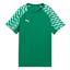 teamLIGA26 Jersey Jr sportgreenpumawhitesportgreen