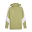 teamEVOSTRIPE Hoody calminggreenpumasilverpumawhite