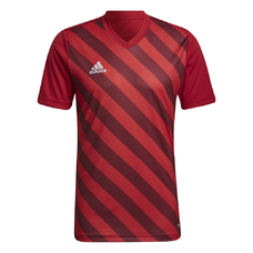 ENTRADA 22 GRAPHIC TRIKOT-1428972