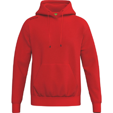 TS Hoody-2434403