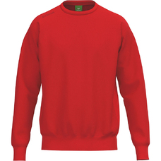 TS Sweatshirt-2434690