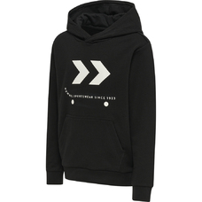 HMLSKATE HOODIE-1995470
