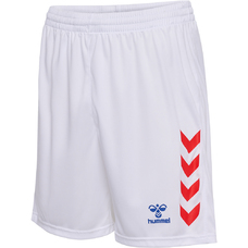 hmlGRAPHIC UNIVERSE SHORTS-2350025