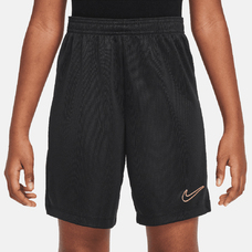 Dri-FIT Academy23 Kids' Soccer Shorts-2289122