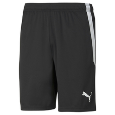 TEAMLIGA SHORTS-956338