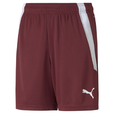 TEAMLIGA SHORTS JR-956445