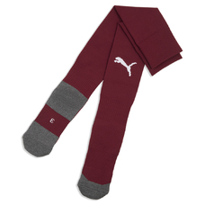 teamLIGA26 Socks Core-2444442