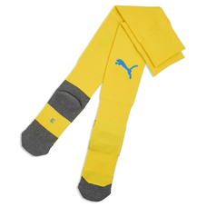 teamLIGA26 Socks Core-2444474